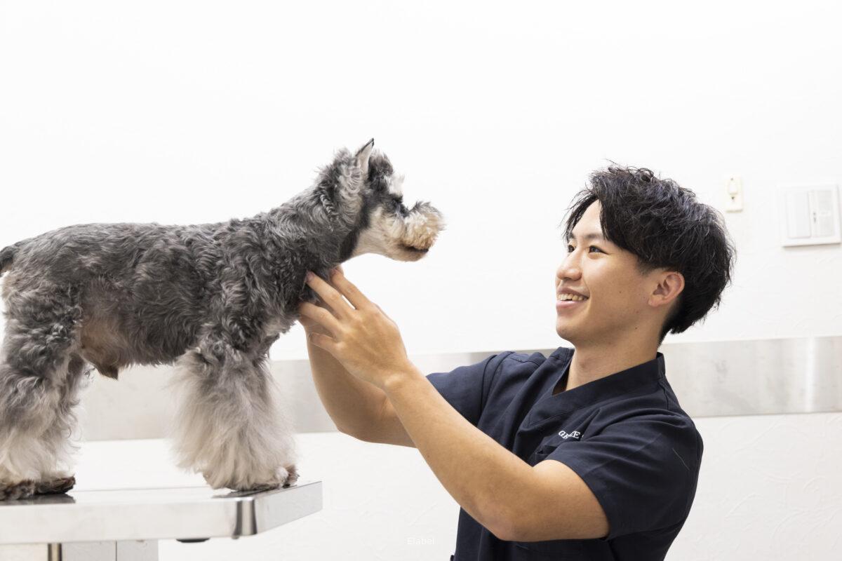 グレイス動物医療センターで働く愛玩動物看護師